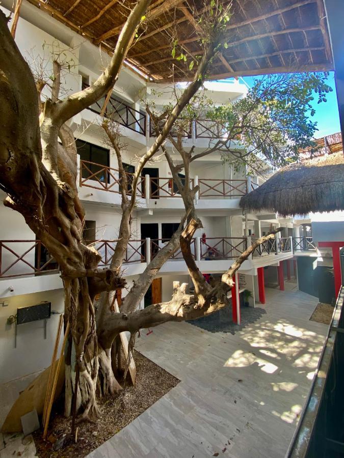 Why Not Rooftop Party Hostel Playa del Carmen Exterior photo