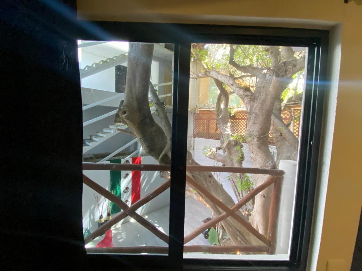 Why Not Rooftop Party Hostel Playa del Carmen Exterior photo